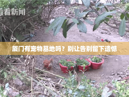 厦门有宠物墓地吗？别让告别留下遗憾