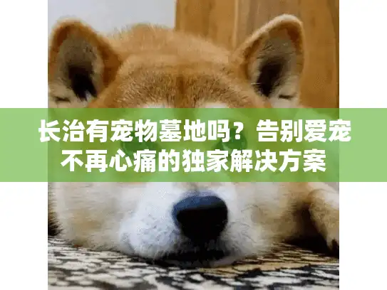 长治有宠物墓地吗？告别爱宠不再心痛的独家解决方案