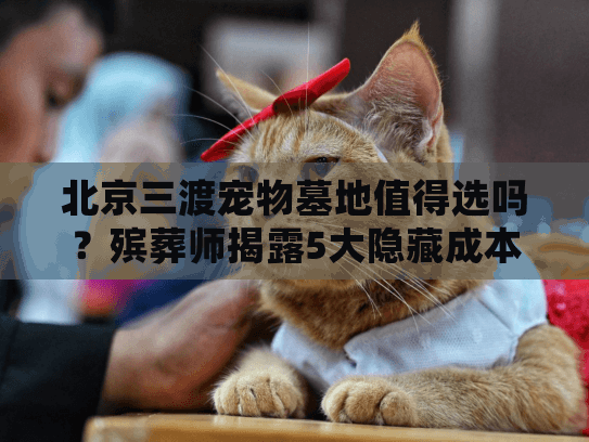 北京三渡宠物墓地值得选吗？殡葬师揭露5大隐藏成本