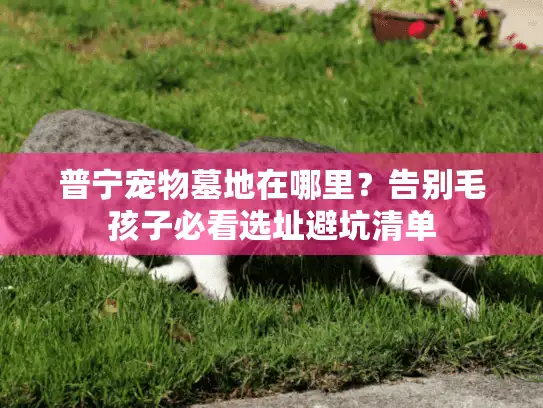 普宁宠物墓地在哪里？告别毛孩子必看选址避坑清单