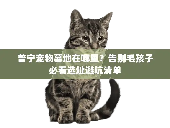 普宁宠物墓地在哪里？告别毛孩子必看选址避坑清单