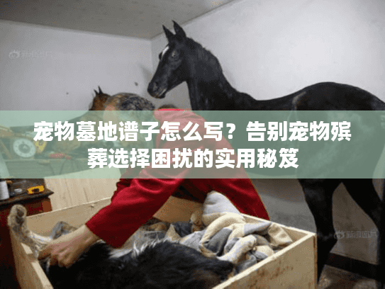 宠物墓地谱子怎么写？告别宠物殡葬选择困扰的实用秘笈