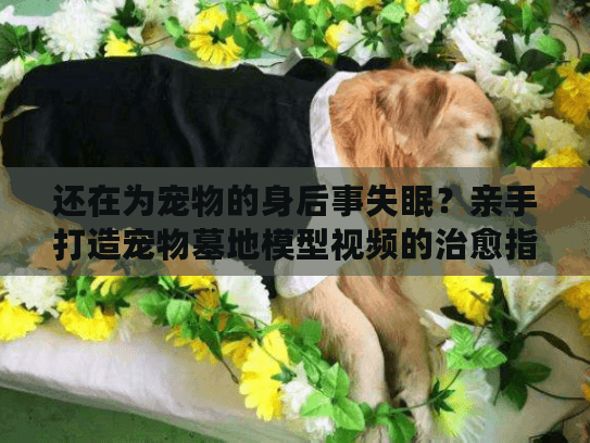 还在为宠物的身后事失眠?亲手打造宠物墓地模型视频的治愈指南 还在为宠物的身后事失眠?亲手打造宠物墓地模型视频的治愈指南