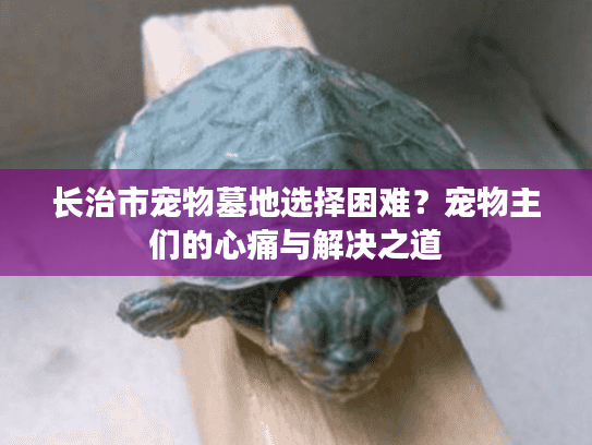 长治市宠物墓地选择困难？宠物主们的心痛与解决之道