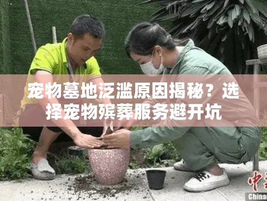宠物墓地泛滥原因揭秘？选择宠物殡葬服务避开坑