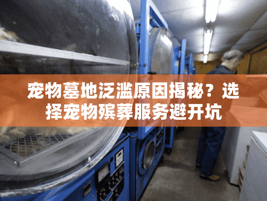 宠物墓地泛滥原因揭秘？选择宠物殡葬服务避开坑