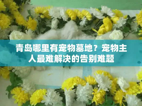 青岛哪里有宠物墓地?宠物主人最难解决的告别难题 青岛哪里有宠物墓地?宠物主人最难解决的告别难题