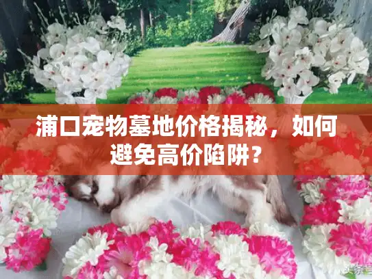 浦口宠物墓地价格揭秘，如何避免高价陷阱？