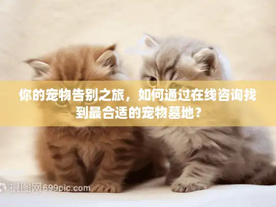 你的宠物告别之旅,如何通过在线咨询找到最合适的宠物墓地? 你的宠物告别之旅,如何通过在线咨询找到最合适的宠物墓地?