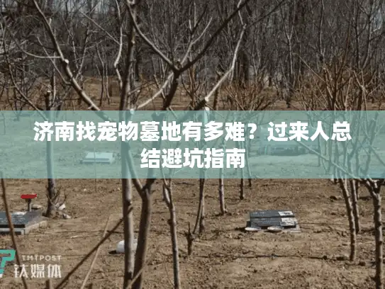 济南找宠物墓地有多难?过来人总结避坑指南 济南找宠物墓地有多难?过来人总结避坑指南