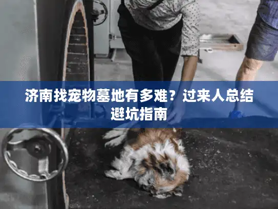 济南找宠物墓地有多难?过来人总结避坑指南 济南找宠物墓地有多难?过来人总结避坑指南