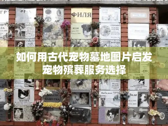如何用古代宠物墓地图片启发宠物殡葬服务选择