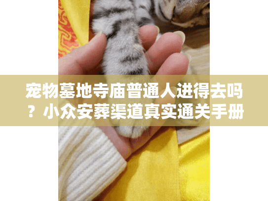 宠物墓地寺庙普通人进得去吗？小众安葬渠道真实通关手册