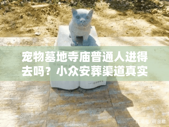 宠物墓地寺庙普通人进得去吗？小众安葬渠道真实通关手册