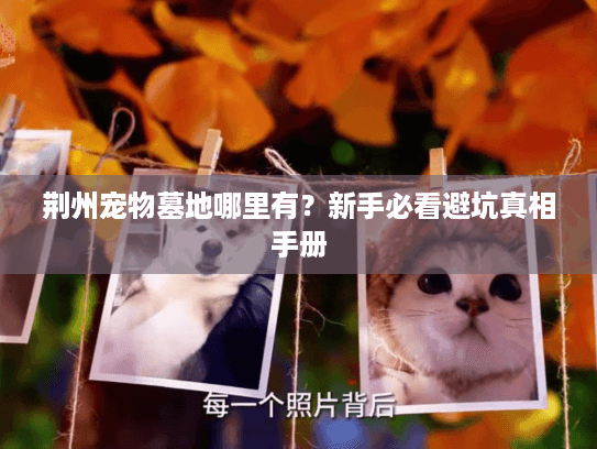 荆州宠物墓地哪里有？新手必看避坑真相手册