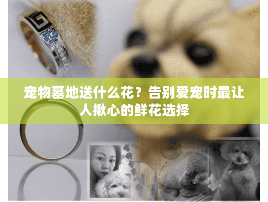 宠物墓地送什么花？告别爱宠时最让人揪心的鲜花选择