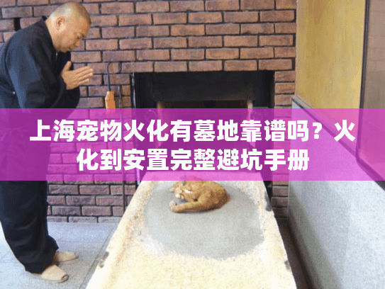 上海宠物火化有墓地靠谱吗?火化到安置完整避坑手册 上海宠物火化有墓地靠谱吗?火化到安置完整避坑手册
