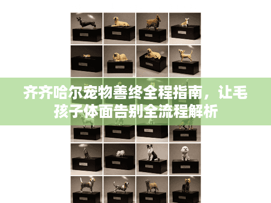 齐齐哈尔宠物善终全程指南，让毛孩子体面告别全流程解析