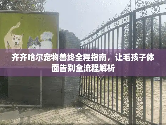 齐齐哈尔宠物善终全程指南，让毛孩子体面告别全流程解析