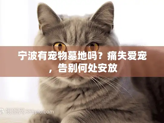 宁波有宠物墓地吗?痛失爱宠,告别何处安放 宁波有宠物墓地吗?痛失爱宠,告别何处安放