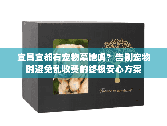 宜昌宜都有宠物墓地吗？告别宠物时避免乱收费的终极安心方案