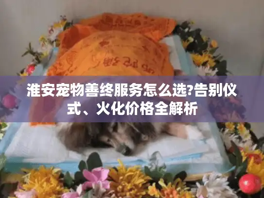 淮安宠物善终服务怎么选?告别仪式、火化价格全解析