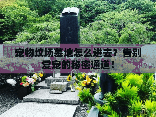 宠物坟场墓地怎么进去？告别爱宠的秘密通道！