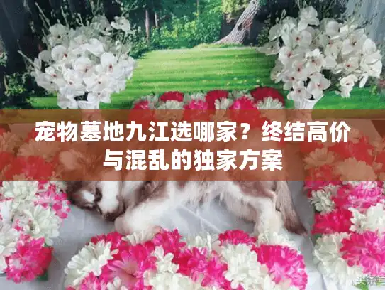 宠物墓地九江选哪家？终结高价与混乱的独家方案