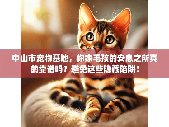 中山市宠物墓地，你家毛孩的安息之所真的靠谱吗？避免这些隐藏陷阱！