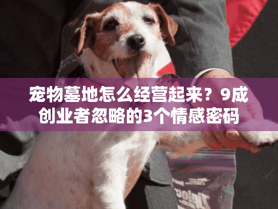 宠物墓地怎么经营起来？9成创业者忽略的3个情感密码