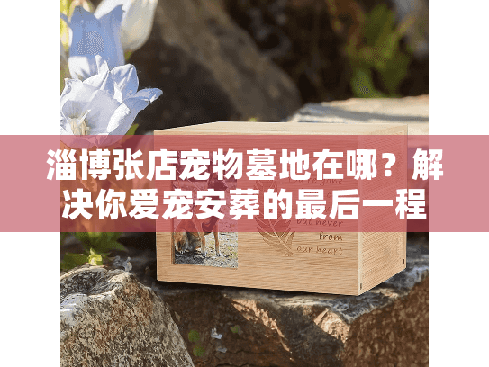 淄博张店宠物墓地在哪?解决你爱宠安葬的最后一程难题 淄博张店宠物墓地在哪?解决你爱宠安葬的最后一程难题