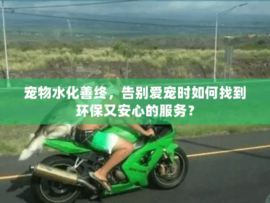 宠物水化善终，告别爱宠时如何找到环保又安心的服务？