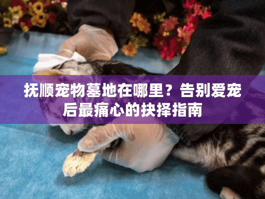 抚顺宠物墓地在哪里?告别爱宠后最痛心的抉择指南 抚顺宠物墓地在哪里?告别爱宠后最痛心的抉择指南