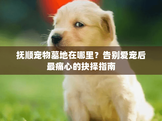 抚顺宠物墓地在哪里?告别爱宠后最痛心的抉择指南 抚顺宠物墓地在哪里?告别爱宠后最痛心的抉择指南