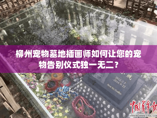 柳州宠物墓地插画师如何让您的宠物告别仪式独一无二？