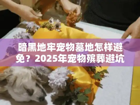 暗黑地牢宠物墓地怎样避免?2025年宠物殡葬避坑指南 暗黑地牢宠物墓地怎样避免?2025年宠物殡葬避坑指南
