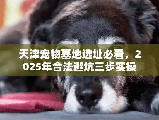 天津宠物墓地选址必看，2025年合法避坑三步实操