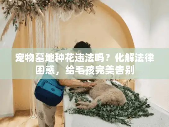 宠物墓地种花违法吗？化解法律困惑，给毛孩完美告别