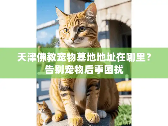 天津佛教宠物墓地地址在哪里?告别宠物后事困扰 天津佛教宠物墓地地址在哪里?告别宠物后事困扰