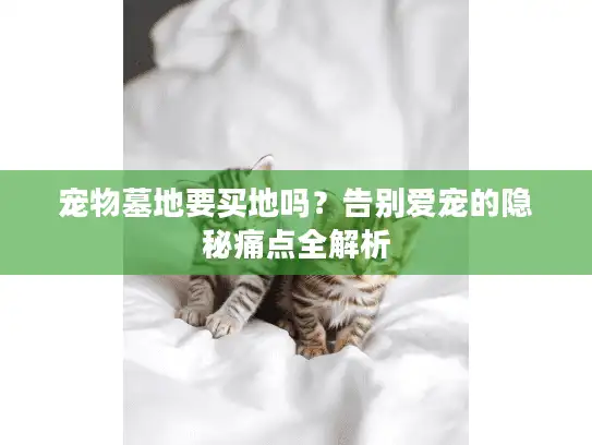 宠物墓地要买地吗？告别爱宠的隐秘痛点全解析