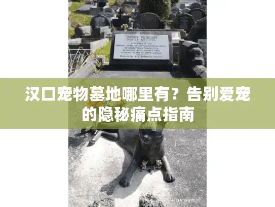 汉口宠物墓地哪里有？告别爱宠的隐秘痛点指南