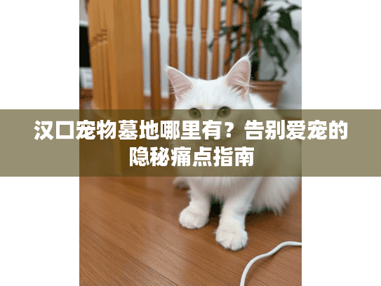 汉口宠物墓地哪里有？告别爱宠的隐秘痛点指南