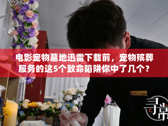 电影宠物墓地迅雷下载前，宠物殡葬服务的这5个致命陷阱你中了几个？