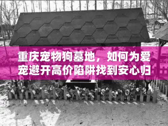 重庆宠物狗墓地，如何为爱宠避开高价陷阱找到安心归宿？
