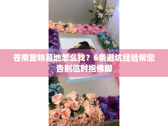 苍南宠物墓地怎么找?6条避坑经验帮您告别临时抱佛脚 苍南宠物墓地怎么找?6条避坑经验帮您告别临时抱佛脚