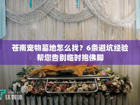 苍南宠物墓地怎么找?6条避坑经验帮您告别临时抱佛脚 苍南宠物墓地怎么找?6条避坑经验帮您告别临时抱佛脚