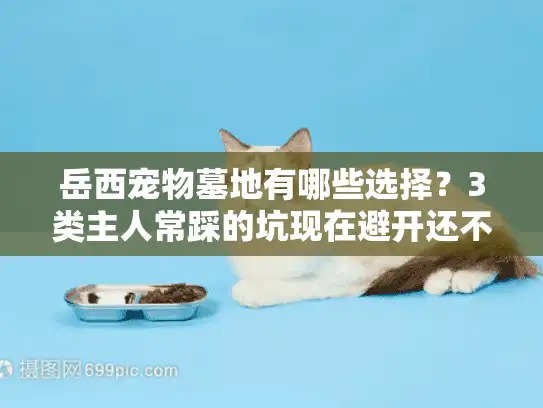 岳西宠物墓地有哪些选择？3类主人常踩的坑现在避开还不晚