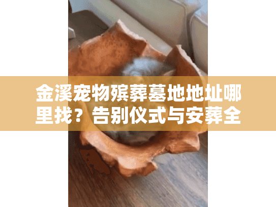 金溪宠物殡葬墓地地址哪里找?告别仪式与安葬全避坑指南 金溪宠物殡葬墓地地址哪里找?告别仪式与安葬全避坑指南