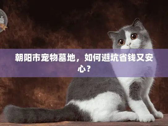 朝阳市宠物墓地，如何避坑省钱又安心？