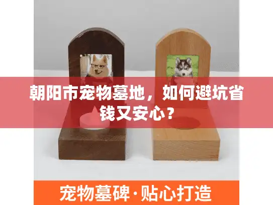 朝阳市宠物墓地，如何避坑省钱又安心？